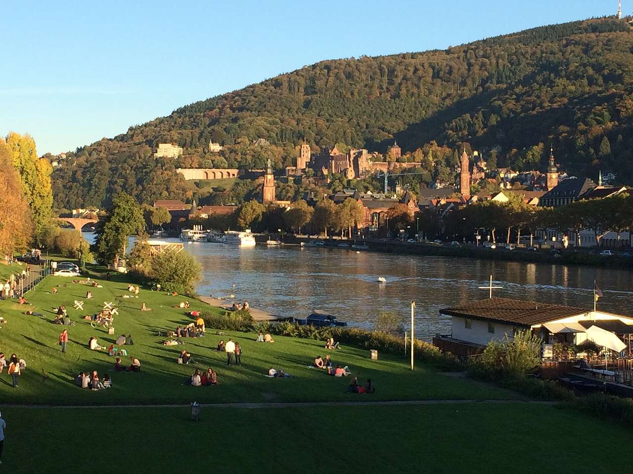 Neckarwiese mit Blick auf Altstadt und Schloss