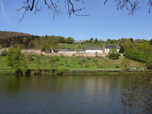 Stift Neuburg am Neckar